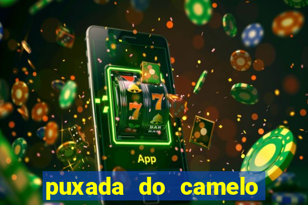 puxada do camelo no jogo do bicho